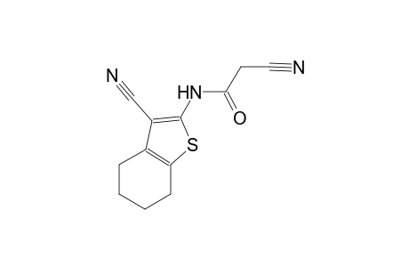 2-cyano-N-(3-cyano-4,5,6,7-tetrahydro-1-benzothien-2-yl)acetamide