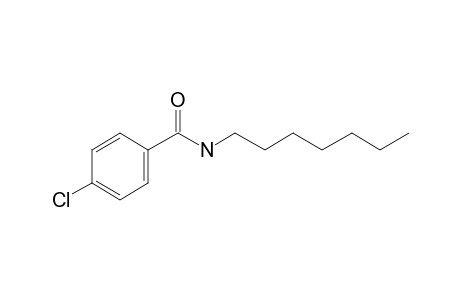 4-Chlorobenzamide, N-heptyl-