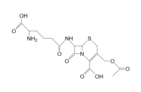 Cephalosporin C