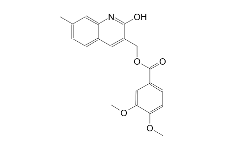 (2-hydroxy-7-methyl-3-quinolinyl)methyl 3,4-dimethoxybenzoate