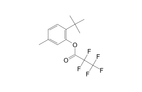 2-Tert-butyl-5-methylphenol, o-pentafluoropropionyl-