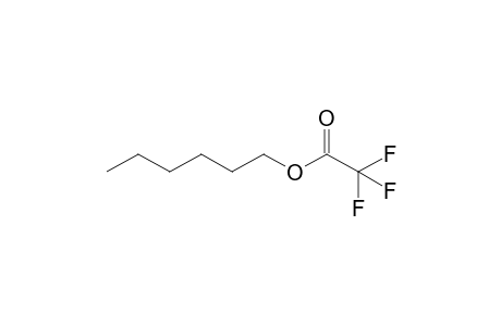 trifluoroacetic acid, hexyl ester