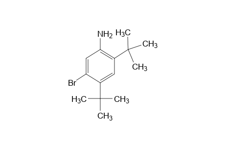 5-BROMO-2,4-DI-tert-BUTYLANILINE