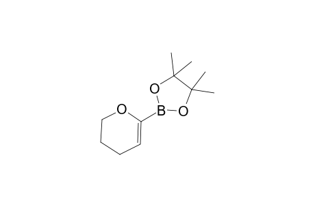 6-(4,4,5,5-Tetramethyl-1,3,2-dioxaborolan-2-yl)-3,4-dihydro-2H-pyran