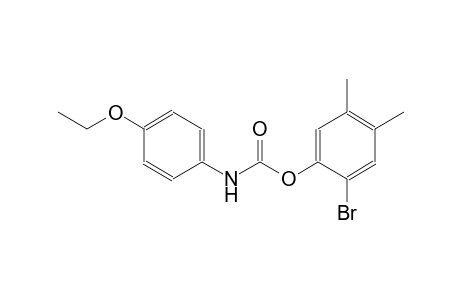 p-ethoxycarbanilic acid, 6-bromo-3,4-xylyl ester
