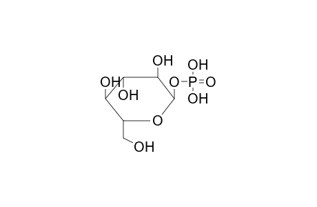 alpha-D-Glucose-1-phosphate