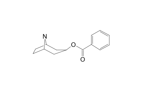 Nortropacocaine