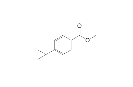 Methyl 4-tert-butylbenzoate