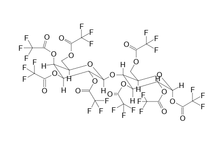 Lactose 8TFA