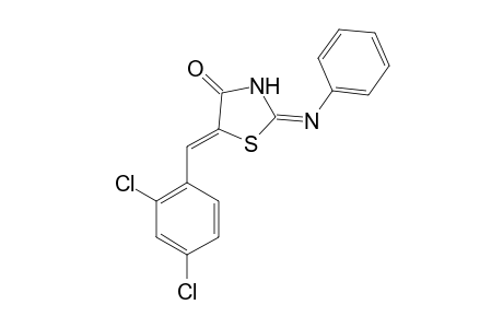 (2E,5E)-5-(2,4-Dichlorobenzylidene)-2-(phenylimino)-1,3-thiazolidin-4-one