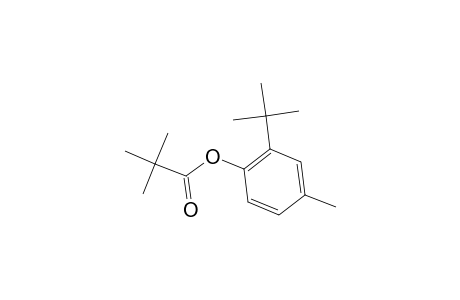 Propanoic acid, 2,2-dimethyl-, 2-(1,1-dimethylethyl)-4-methylphenyl ester