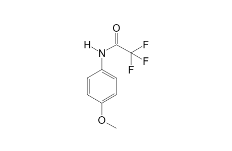 2,2,2,-trifluoro-p-acetanisidide