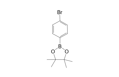 2-(4-Bromophenyl)-4,4,5,5-tetramethyl-1,3,2-dioxaborolane