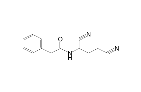 N-(1,3-Dicyano-propyl)-2-phenyl-acetamide