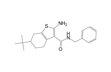 2-amino-N-benzyl-6-tert-butyl-4,5,6,7-tetrahydro-1-benzothiophene-3-carboxamide