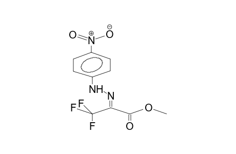 TRIFLUOROPYRUVIC ACID, METHYL ESTER, 4-NITROPHENYLHYDRAZONE