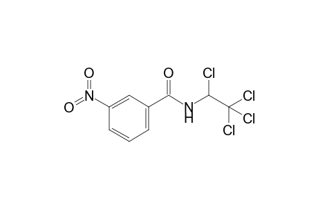 3-Nitro-N-(1,2,2,2-tetrachloroethyl)benzamide