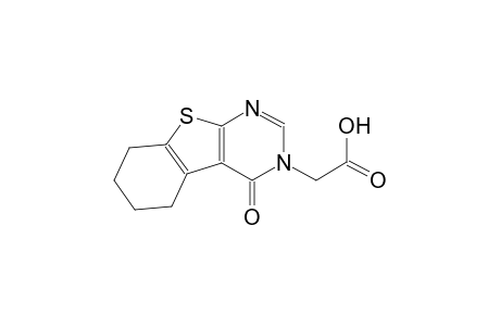 (4-oxo-5,6,7,8-tetrahydro[1]benzothieno[2,3-d]pyrimidin-3(4H)-yl)acetic acid