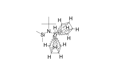 CP(2)ZR(H)(N(T)BUSIME(2)H)