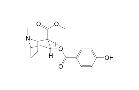 Cocaine-M (OH)