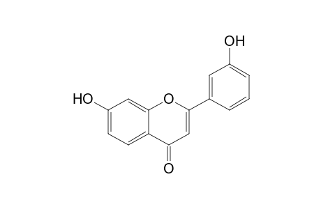 7,3'-Dihydroxyflavone