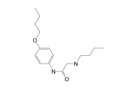 Acetamide, N-(4-butoxyphenyl)-2-(butylamino)-