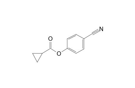 Cyclopropanecarboxylic acid, 4-cyanophenyl ester