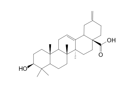 Akebonic acid