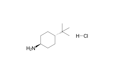 trans-4-tert-BUTYLCYCLOHEXYLAMINE, HYDROCHLORIDE