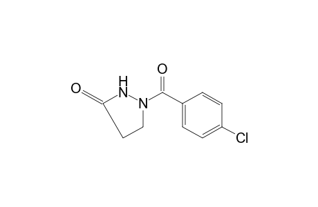 1-(p-chlorobenzoyl)-3-pyrazolidinone