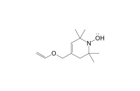 4-Vinyloxymethyl-2,2,6,6-tetramethyl-1,2,5,6-tetrahydropyridin-1-yloxy radical