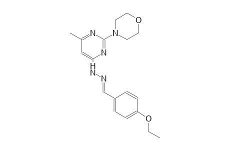 4-ethoxybenzaldehyde [6-methyl-2-(4-morpholinyl)-4-pyrimidinyl]hydrazone