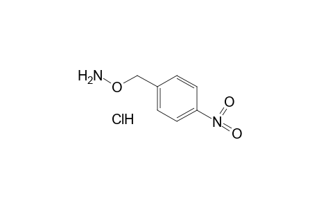 O-(4-nitrobenzyl)hydroxylamine hydrochloride