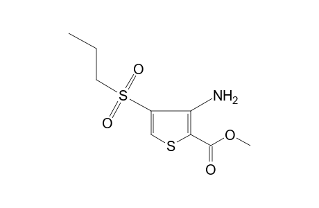 3-amino-4-(propylsulfonyl)-2-thiophenecarboxylic acid, methyl ester