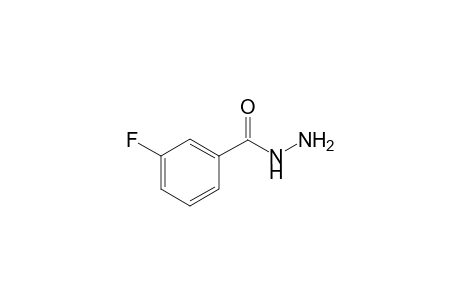 3-Fluorobenzoic hydrazide