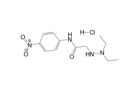 2-(2,2-diethylhydrazinyl)-N-(4-nitrophenyl)acetamide hydrochloride