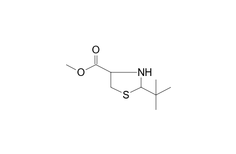 2-tert-butylthiazolidine-4-carboxylic acid methyl ester