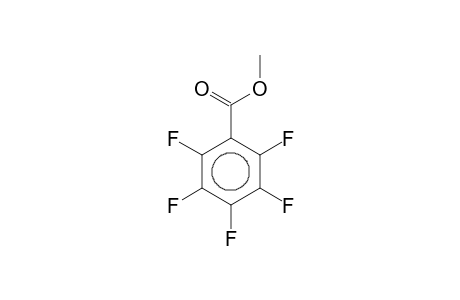 PENTAFLUOROBENZOIC_ACID-METHYLESTER