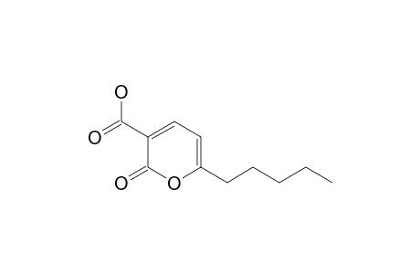2-Oxo-6-pentyl-2H-pyran-3-carboxylic acid