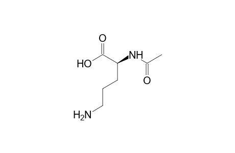 N-alpha-Acetyl-L-ornithine
