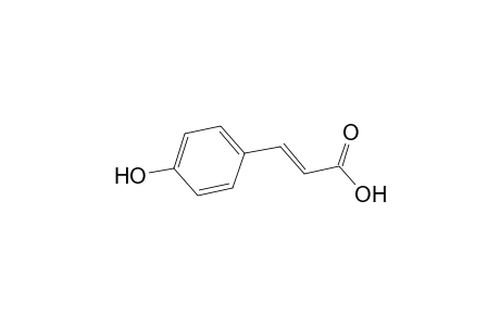 p-Coumaric acid