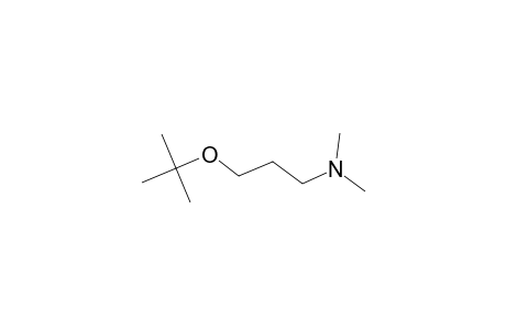 N,N-Dimethyl-3-tert-butoxypropylamine