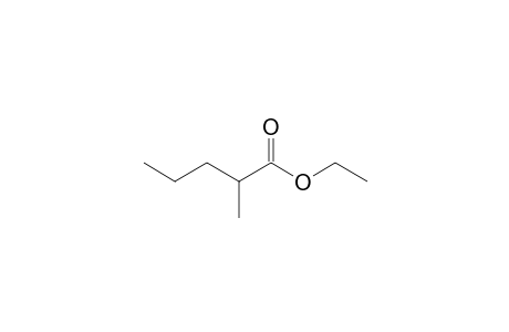 Ethyl 2-methylpentanoate