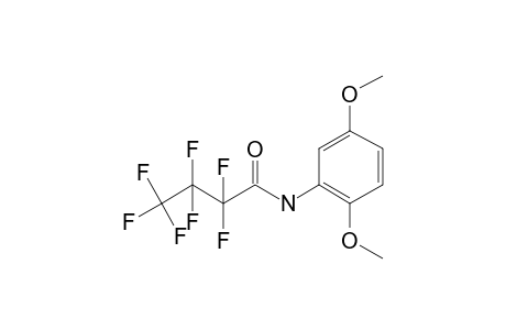 Butanamide, N-(2,5-dimethoxyphenyl)-2,2,3,3,4,4,4-heptafluoro-