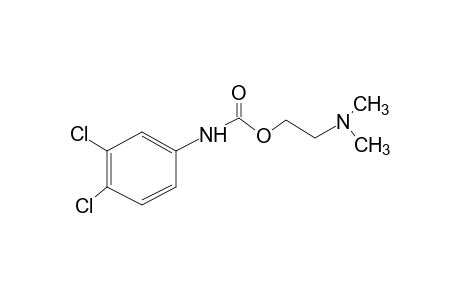 3,4-dichlorocarbanilic acid, 2-(dimethylamino)ethyl ester