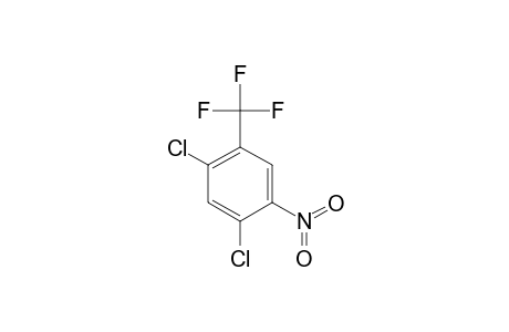 2,4-DICHLORO-5-NITRO-alpha,alpha,alpha-TRIFLUOROTOLUENE