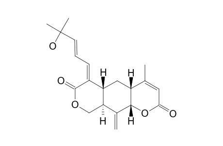 KITUNGOLIDE-C