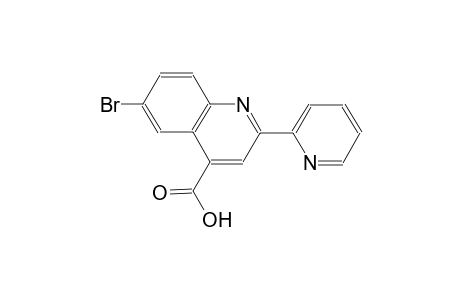 6-BROMO-2-(2-PYRIDYL)CINCHONINIC ACID