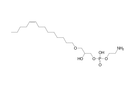 LPE O-14:1