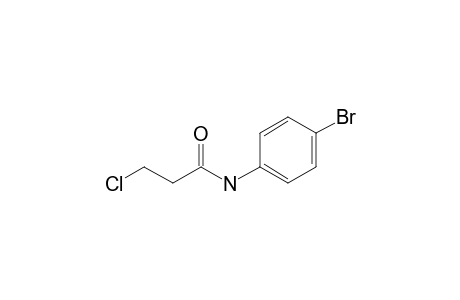 Propanamide, N-(4-bromophenyl)-3-chloro-